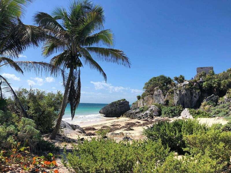 Tulum Archaeological Zone: Cenote, Lunch & Transfer - Who Should Book This Tour?