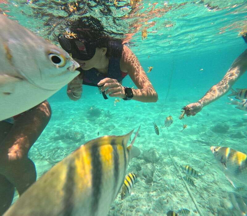 Tulum: Bacalar Bay Full-Day Minibus Tour with Lunch - Discover the beauty of Bacalar Bay on a full-day tour from Tulum