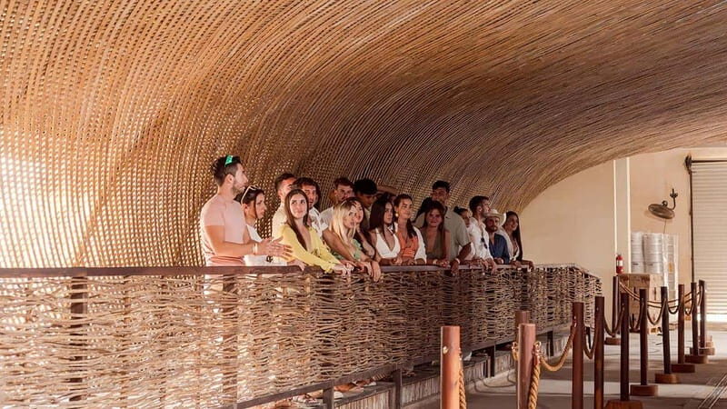 Tulum Beer Tasting Brewery Tour Beer School & Transportation - An In-Depth Look at the Experience