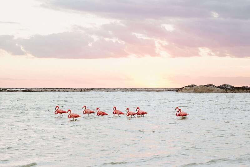 Tulum: Coloradas Pink Lake & Rio Lagartos Adventure - The Experience in Real Life: Insights from Guests