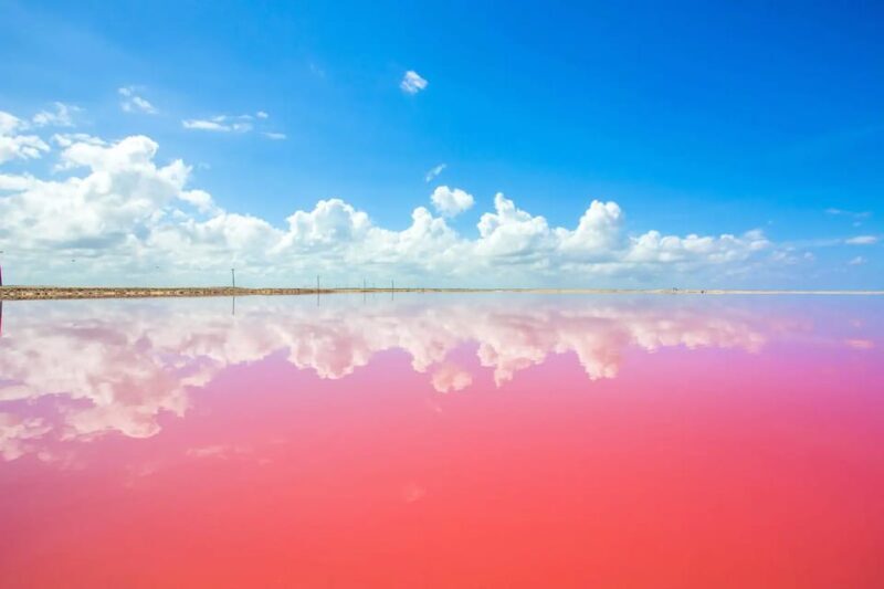 Tulum: Coloradas Pink Lake & Rio Lagartos Adventure - Frequently Asked Questions
