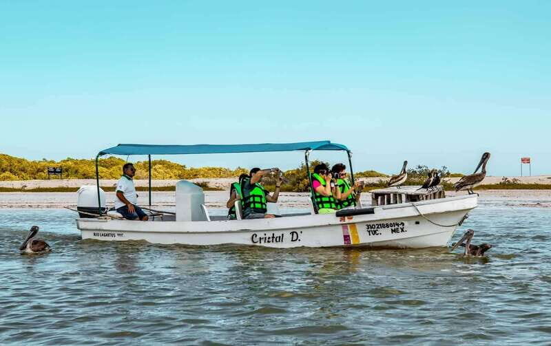 Tulum: Coloradas & Rio Lagartos Biosphere! Crocodile farm - The Itinerary Breakdown and What to Expect