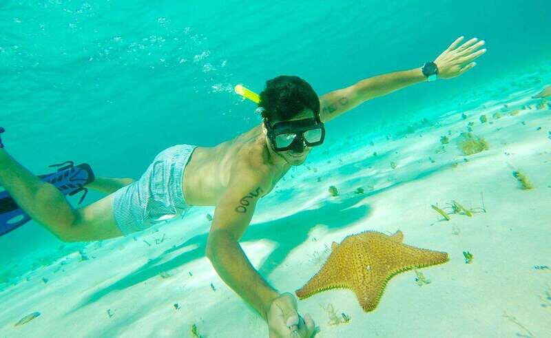 Tulum: Cozumel Cielo Adventure! Round Trip from Tulum City - Key Points