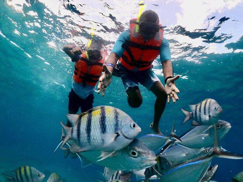 Tulum: Cozumel Cielo Adventure! Round Trip from Tulum City - A Balanced Look at the Cozumel Cielo Adventure