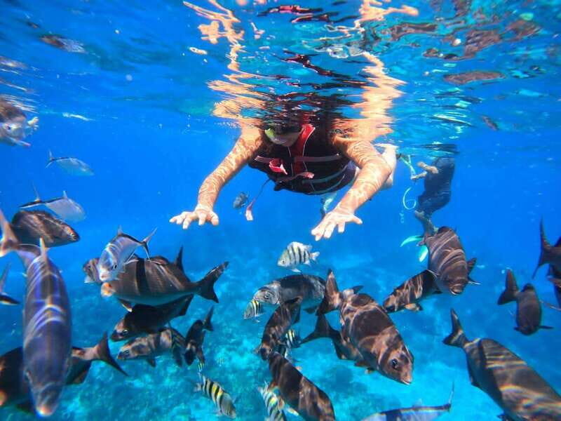 Tulum: Cozumel Cielo Adventure! Round Trip from Tulum City - The Sum Up