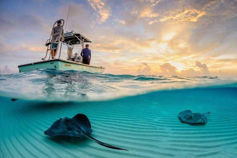 Tulum: Cozumel Cielo Snorkel Adventure from Cancun - Transportation and Duration: How It Works