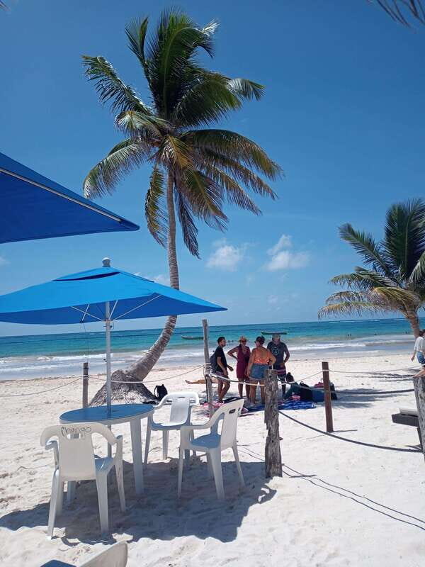 Tulum: Deep Sea Fishing - What Reviewers Say