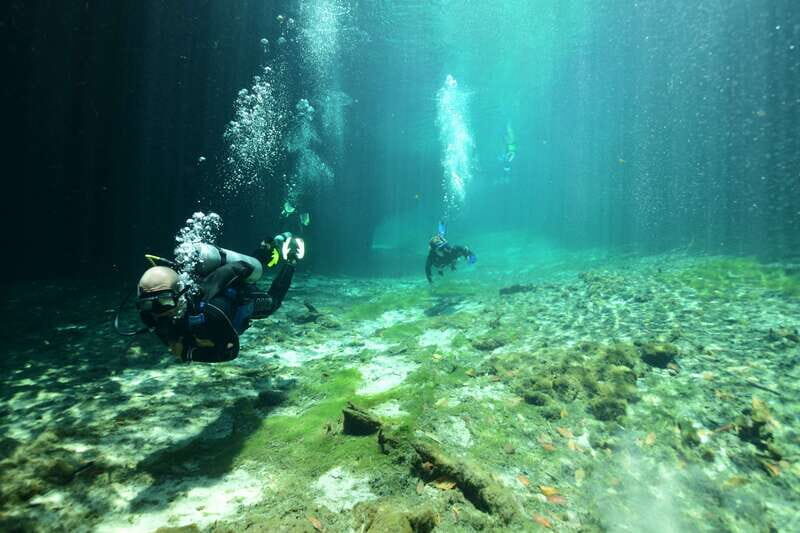Tulum: Discover Scuba Diving in Cenotes - Introduction