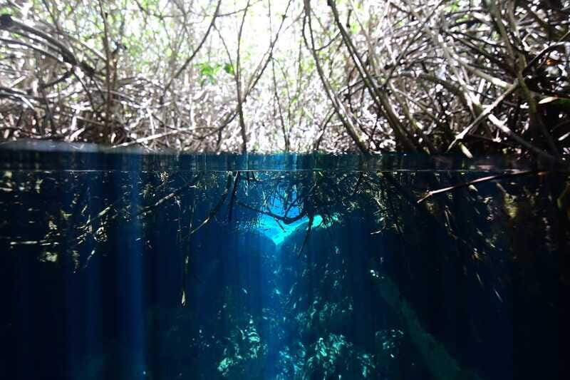Tulum: Discover Scuba Diving in Cenotes - The Experience: Safety, Comfort, and Authenticity