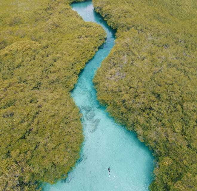 Tulum: Discover Scuba Diving in Cenotes - Price and Value