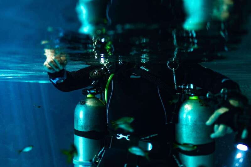 Tulum: Discover the Depths of Dos Ojos Cenote - An In-Depth Look at the Dos Ojos Cenote Tour