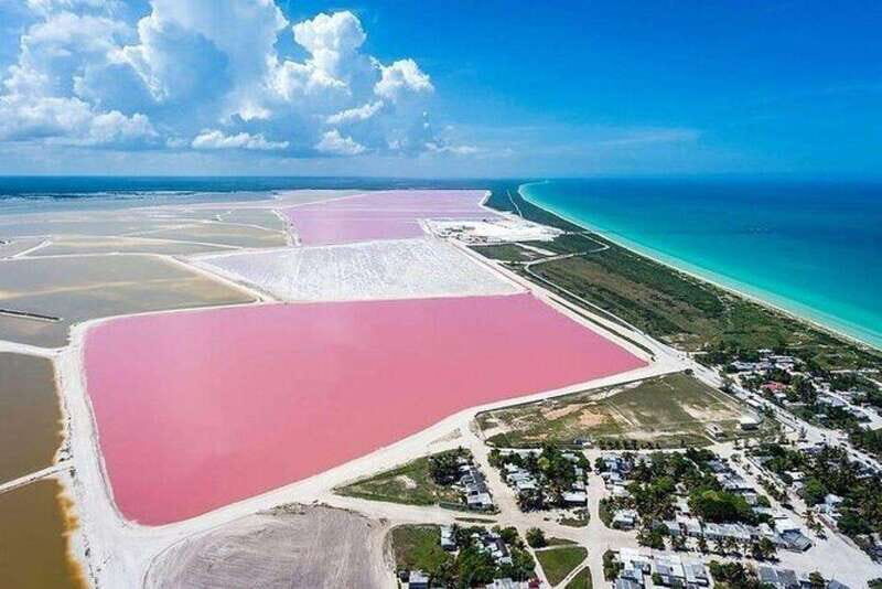Tulum: Explore Las Coloradas & Rio Lagartos - Key Points