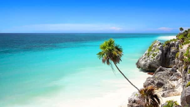 Tulum Express Half-Day Tour - The Experience The Reviews Say