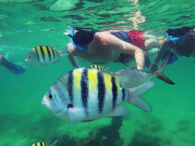 Tulum Guided Tour, Cenote, Lagoon Snorkeling and Lunch - Who Will Love This Experience?