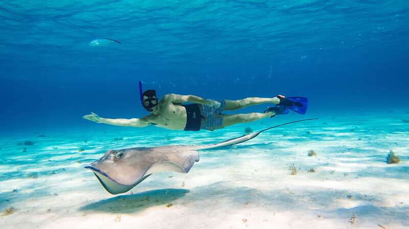 Tulum: Half-Day Luxury Sailing Experience with Open Bar - FAQ