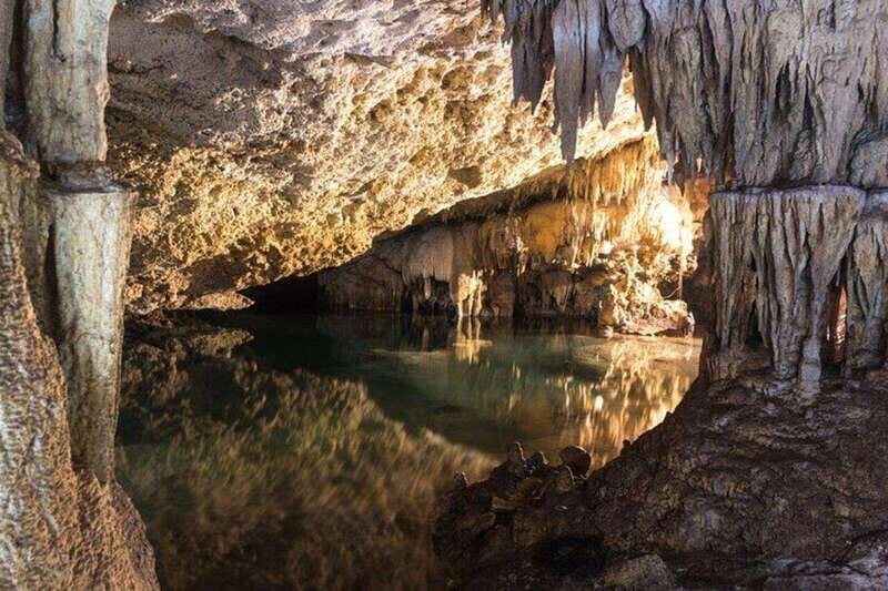 Tulum: Half Day Nature Experience! Turtles & Cenote - FAQ