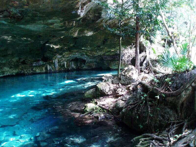 Tulum: Horseback Riding in the Jungle w/ Transfers and Lunch - Why Choose This Tour?