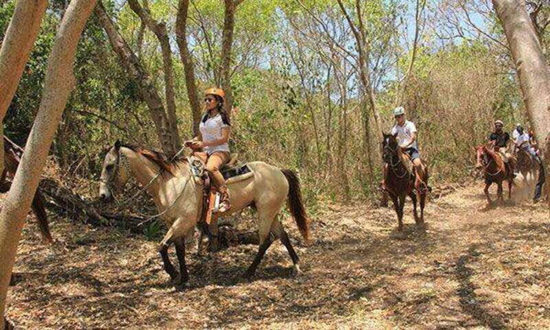 Tulum: Horseback Riding in the Jungle w/ Transfers and Lunch - Frequently Asked Questions