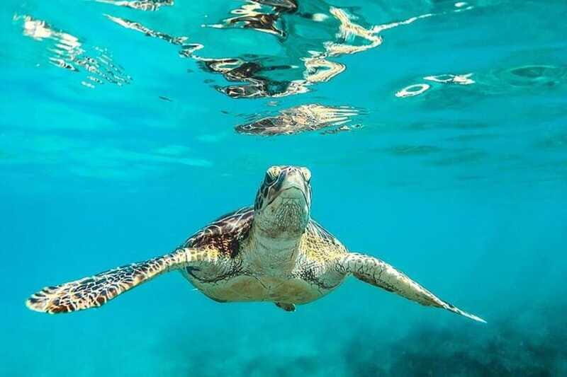 Tulum: Mayan Ruins and Snorkeling Adventure - Final Thoughts