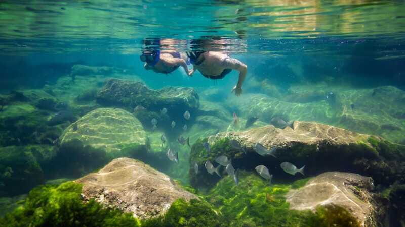Tulum Mayan Ruins, Yal-Kú Snorkel, Cenote and Lunch at the Beach Club - FAQs