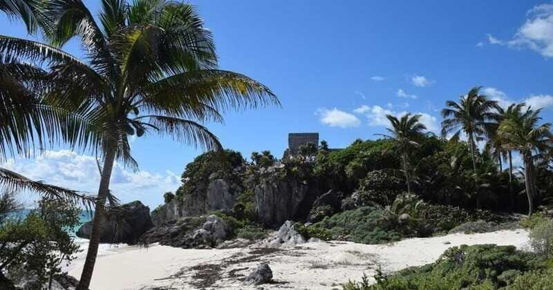 Tulum Reef Snorkeling and Cenote - A Detailed Breakdown of the Tulum Reef Snorkeling and Cenote Experience