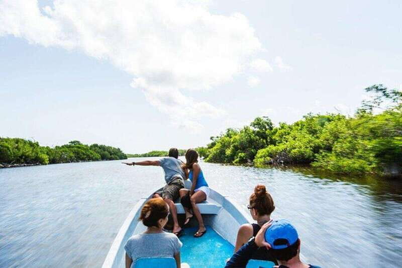 Tulum: Rio Lagartos Biosphere & Coloradas Pink Lake! Guided - An In-Depth Look at the Tour Experience