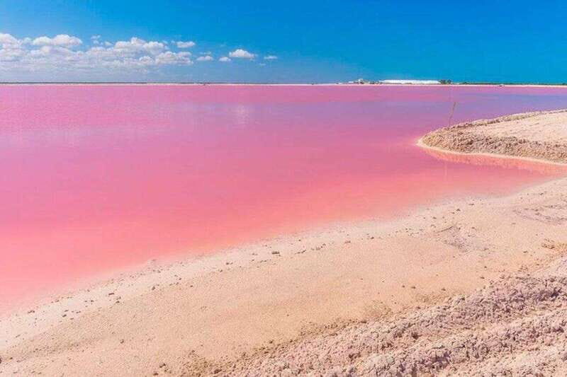 Tulum: Rio Lagartos Biosphere & Coloradas Pink Lake! Guided - Las Coloradas Pink Lake: A Photo Wonderland