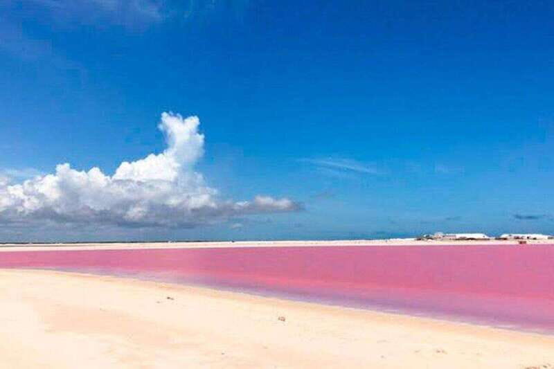 Tulum: Rio Lagartos Biosphere & Coloradas Pink Lake! Guided - Crocodile Farm and Other Stops