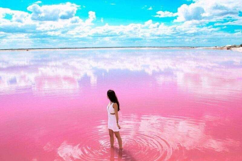Tulum: Rio Lagartos Biosphere & Coloradas Pink Lake! Guided - Lunch and Additional Details
