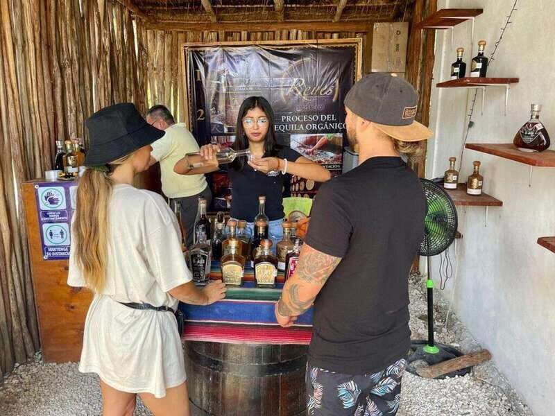 Tulum: Ruins by Boat, Swim with Turtles & Cenote Tour - Key Points