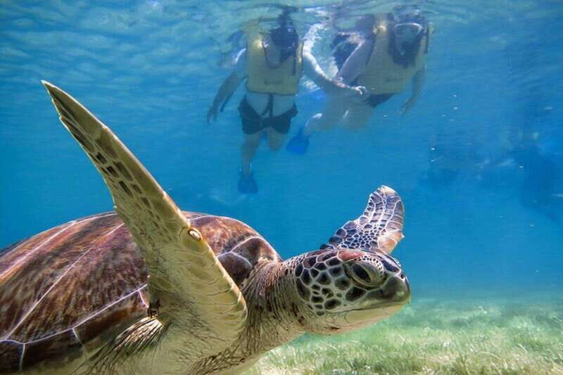 Tulum: Ruins, Turtles & Cenotes Adventure - Tulum: Ruins, Turtles & Cenotes Adventure – An Unforgettable Day in Quintana Roo