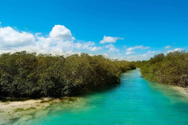 Tulum: SIAN KAAN biosphere Boat Tour, Dolphins, Snorkeling - Key Points