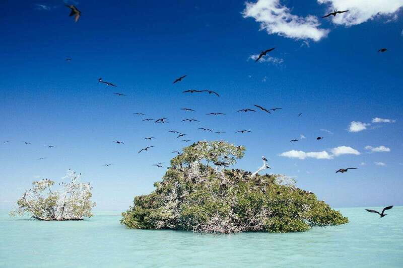 Tulum: SIAN KAAN biosphere Boat Tour, Dolphins, Snorkeling - Who Will Love This Tour?