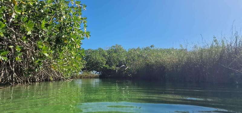 Tulum: Sian Ka'an Biosphere Guided Tour - Snorkeling at the Coral Reef