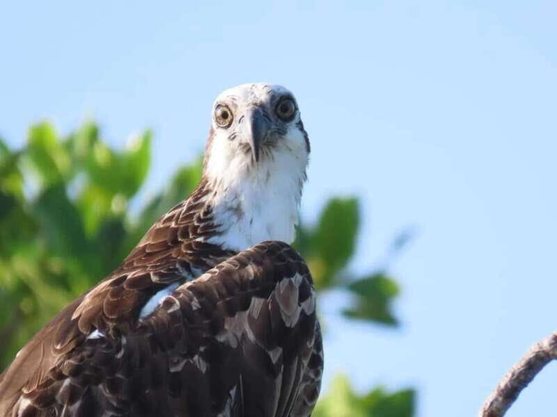 Tulum: Sian Ka'an Biosphere Guided Tour - Lunch and Relaxation in Punta Allen