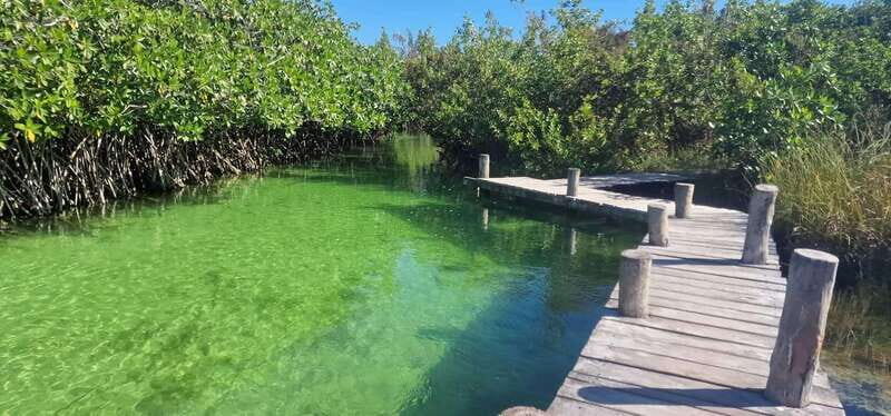 Tulum: Sian Ka'an Biosphere Guided Tour - Who Will Love This Tour?