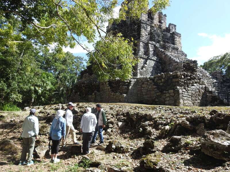 Tulum: Sian Ka'an Biosphere Reserve Guided Birdwatching Hike - Key Points