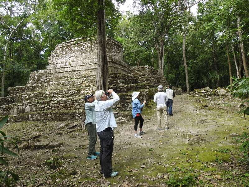 Tulum: Sian Ka'an Biosphere Reserve Guided Birdwatching Hike - Authentic Experiences from Past Participants
