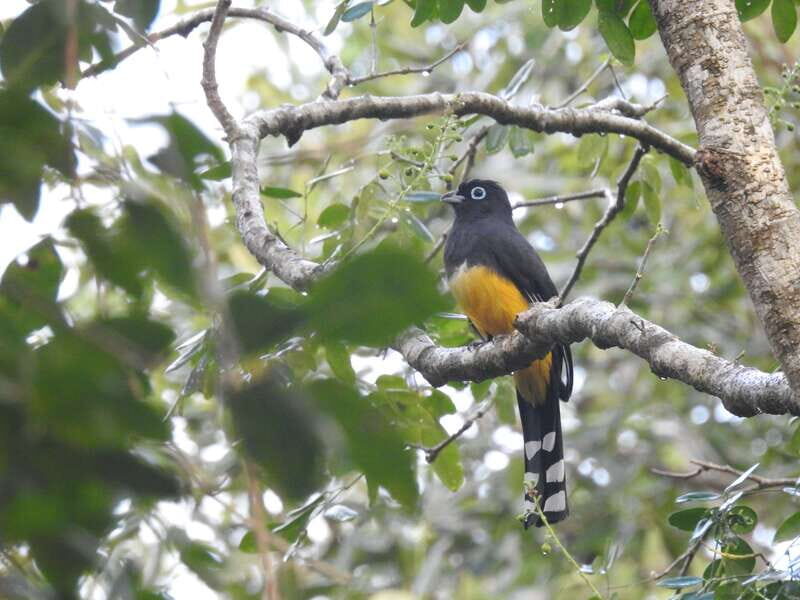 Tulum: Sian Ka'an Biosphere Reserve Guided Birdwatching Hike - The Sum Up