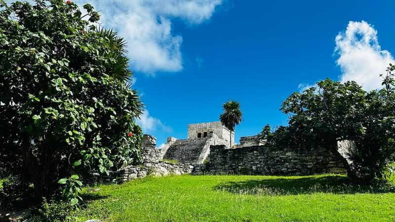 Tulum, Snorkeling & Cenote Adventure - Who This Tour Is Perfect For