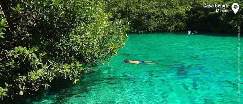 Tulum Snorkeling Tour - Casa Cenote + Ocean Reef & Lunch - Key Points