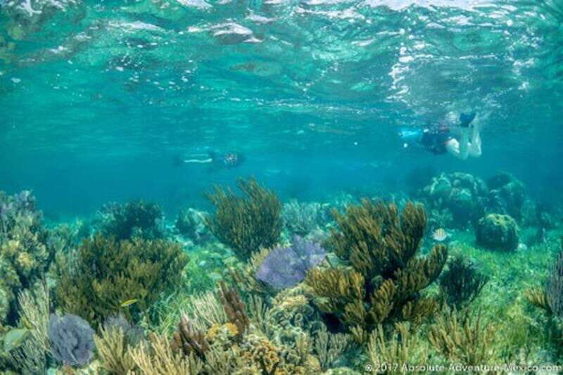 Tulum Snorkeling Tour - Casa Cenote + Ocean Reef & Lunch - Final Thoughts
