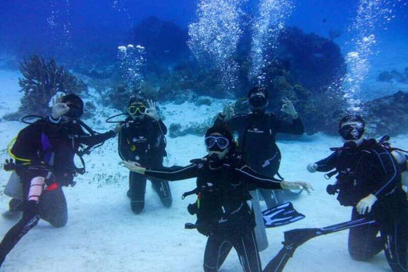 Tulum: Try Scuba Diving Adventure | Canote + Reef in Tulum - Tulum: Try Scuba Diving Adventure | Canote + Reef in Tulum — A Detailed Review