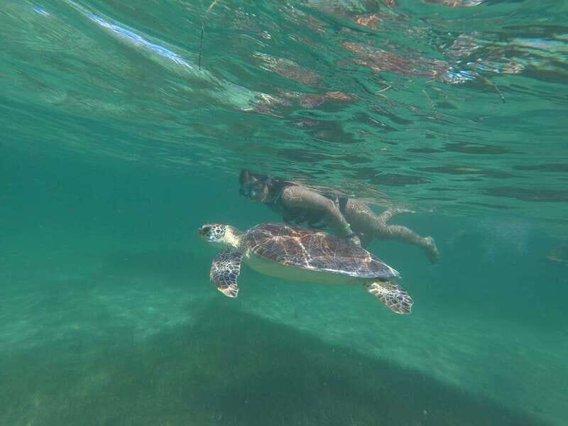 Tulum: Tulum Mayan Ruins and thrilling Reef snorkel - What You Can Expect from the Tour