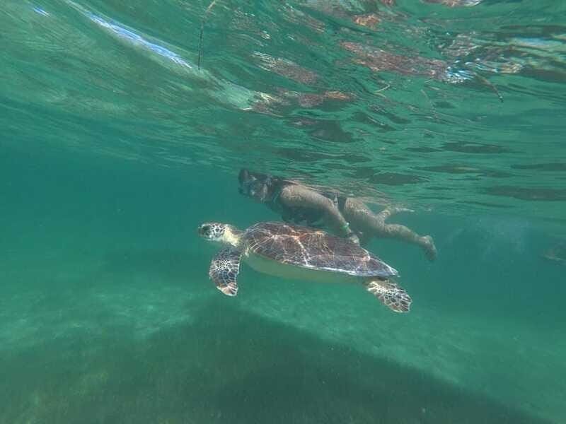 Tulum: Tulum Mayan Ruins and thrilling Reef snorkel - Final Thoughts