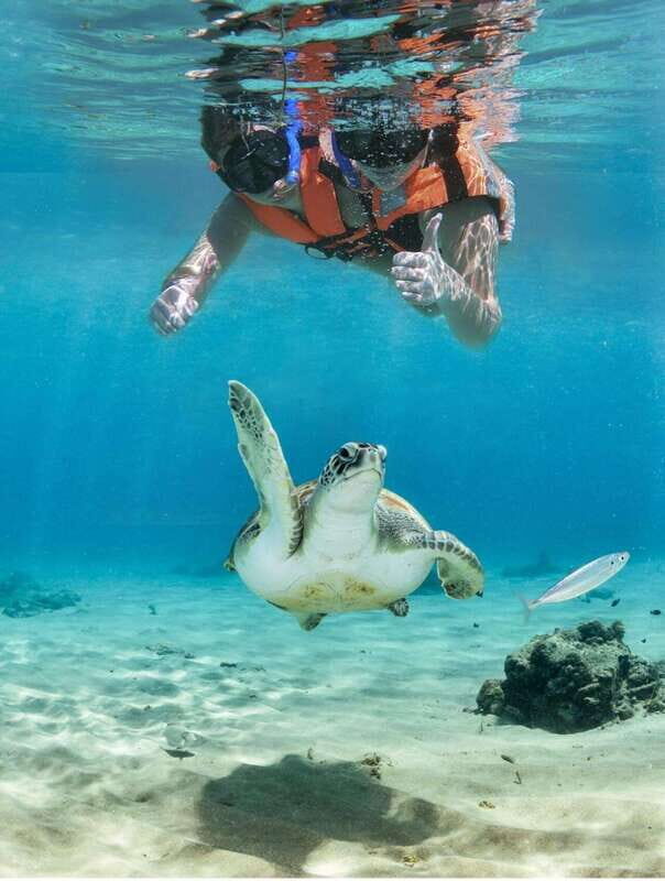Tulum: Turtle Sighting at Akumal! Undergound Cenote - Why This Tour Offers Good Value
