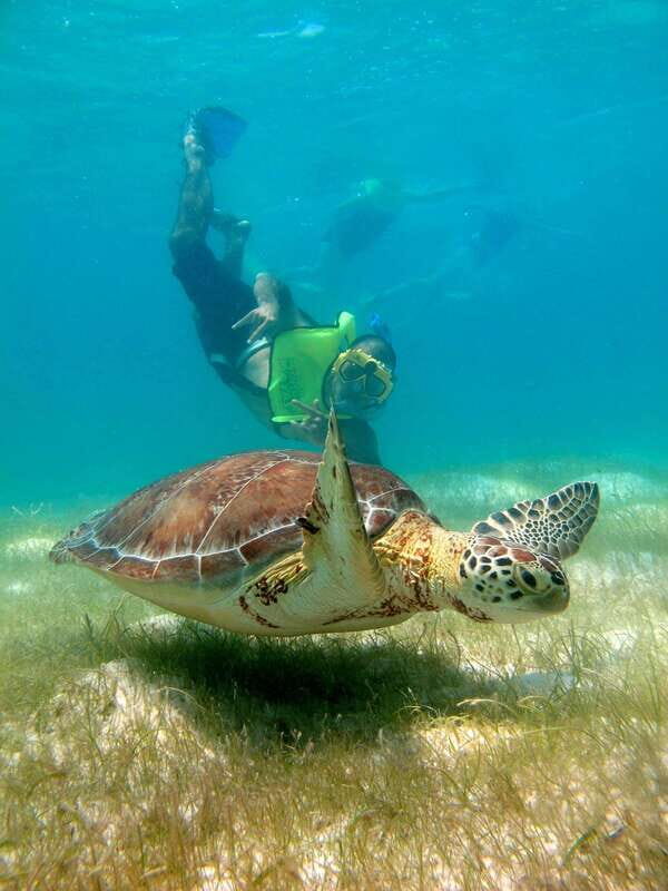 Tulum & Turtles Private Tour - How the Itinerary Breaks Down