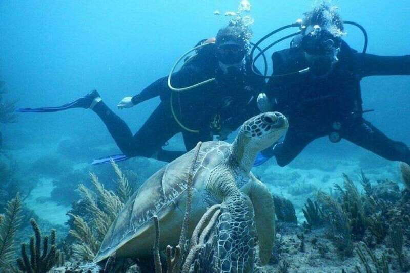 Tulum: Wonders of the Underwater World Discover Scuba Diving - Practical Details and Tips