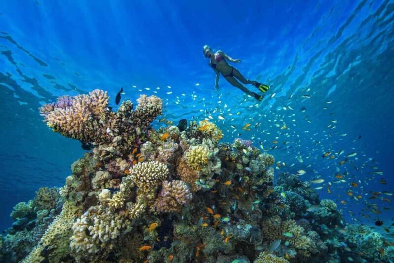 Tumbatu island snorkling tour : from Kendwa & Nungwi - Key Points