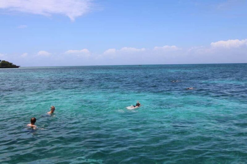 Tumbatu island snorkling tour : from Kendwa & Nungwi - An In-Depth Look at the Tumbatu Island Snorkeling Tour